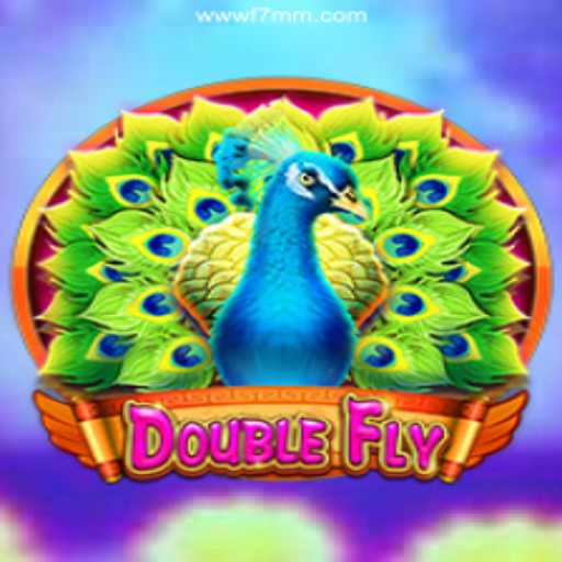 DoubleFly: Exploring the Thrills of Brazil’s #1 Betting Platform